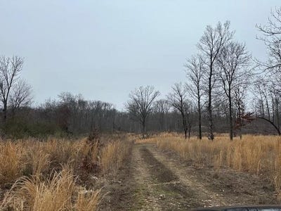 /international/us/606-road-lot-0-watts-ok-110105954898/