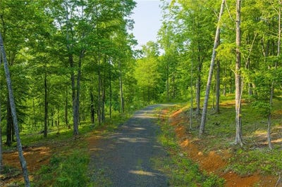 /international/us/213-autumn-lane-west-jefferson-nc-110108331835/