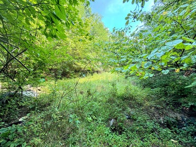 /international/us/4758-fowler-creek-road-covington-ky-110100796611/?lang=zh-tw