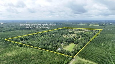 /international/us/vacant-henry-way-greenwood-fl-110108500292/