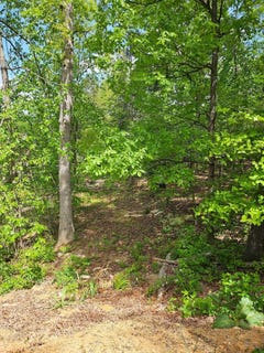 /international/us/0-ridge-view-ln-elkton-va-110099366894/