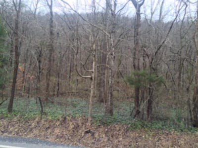 /international/us/highway-610-w-map-039-00-00-016-04-lot-4-jonancy-ky-110034822123/