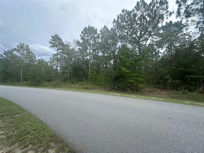 /international/us/2223-cr-243f-wildwood-fl-110100941871/