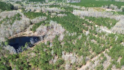 /international/us/2521-sc-268-mount-croghan-sc-110106536412/