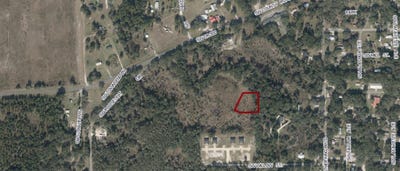 /international/us/00-sw-roosevelt-mayo-fl-110100454575/
