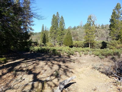 /international/us/31325-little-doe-court-potter-valley-ca-110119945495/