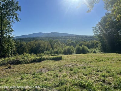 /international/us/blueberry-estate-prattsville-ny-110103596500/