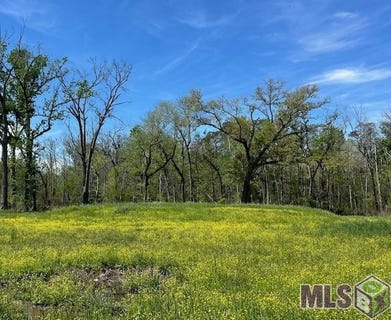 /international/us/13023-bluff-rd-geismar-la-110096515830/