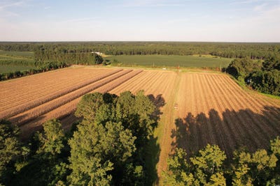 /international/us/61-77-acres-tbd-marion-church-rd-salters-sc-110101835152/