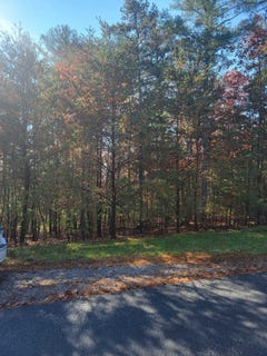 /international/us/2930-new-ridge-road-elliston-va-110100624371/