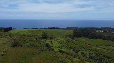 /international/us/1-3-private-rd-hakalau-hi-110101406436/