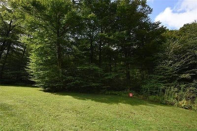 /international/us/lot-31-grouse-point-seven-springs-resort-pa-110107746611/