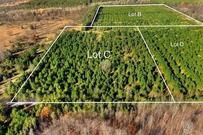 /international/us/15-acres-c-wallin-road-colfax-twp-mi-110097880218/