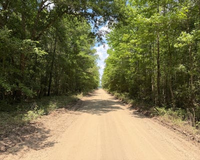 /international/us/toney-bay-road-holly-hill-sc-110108961862/
