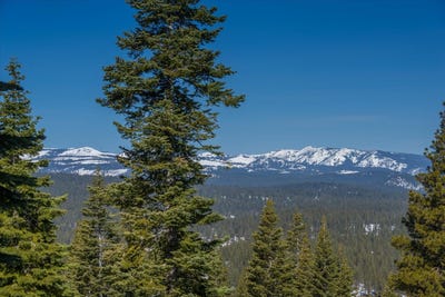 /international/us/2640-mill-site-road-truckee-ca-110101345935/?lang=zh-tw