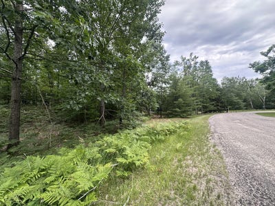 /international/us/partridge-place-lot-1634-gaylord-mi-110101189411/