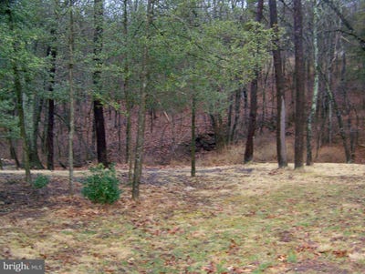 /international/us/0-conewago-avenue-wellsville-pa-110097882516/