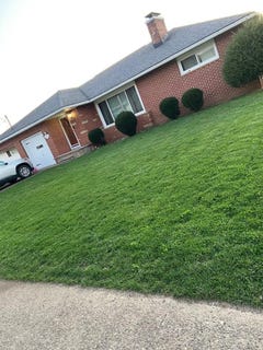 /international/us/420-susan-st-new-martinsville-wv-110100944759/