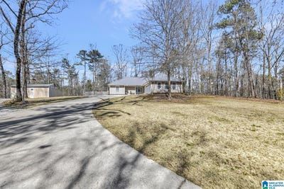 /international/us/58-sunny-meadows-drive-talladega-al-110098190299/