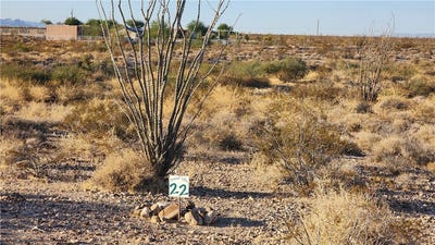 /international/us/208-33-022-w-wilshire-road-yucca-az-110103324750/