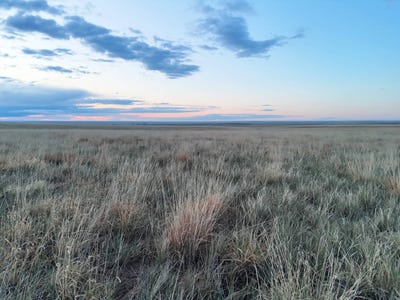 /international/us/56th-ave-deer-trail-co-110107965410/