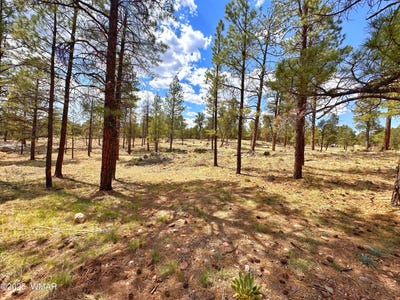 /international/us/par-007h-chevelon-rd-heber-az-110100613103/