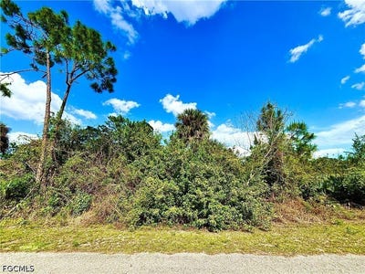 /international/us/518-clayton-avenue-lehigh-acres-fl-110107350521/