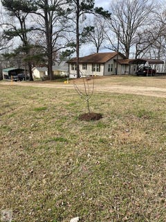 /international/us/114-lakefork-saratoga-ar-110105917958/