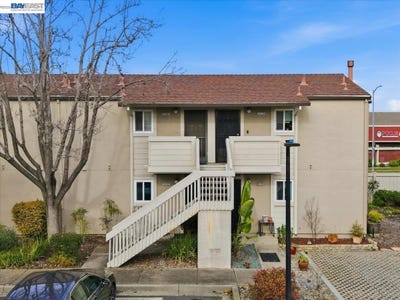 /international/us/34362-enea-ter-fremont-ca-110107860395/