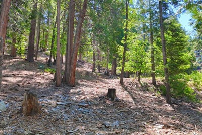 /international/us/7220-yosemite-park-way-yosemite-west-ca-110098057084/