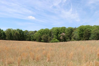 /international/us/1024-sulphur-spring-rd-prospect-va-110107416969/