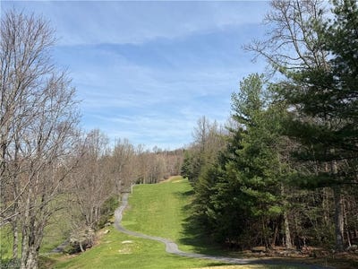 /international/us/greenstreet-drive-lot-33-traphill-nc-110106948744/