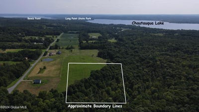 /international/us/l31-lewis-road-ellery-ny-110094403244/