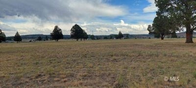 /international/us/lot-47-blk-14-lu1b-honey-view-drive-alturas-ca-110100721818/