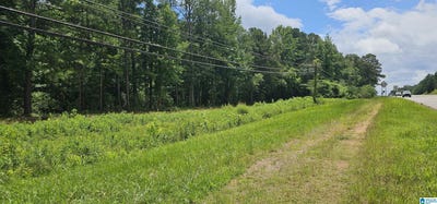/international/us/7737-highway-75-lot-1-pinson-al-110100250669/