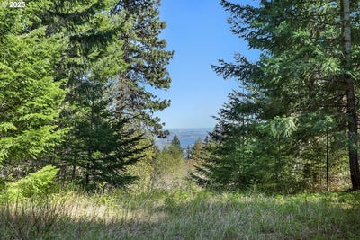 /international/us/101-cooke-rd-white-salmon-wa-110101027429/