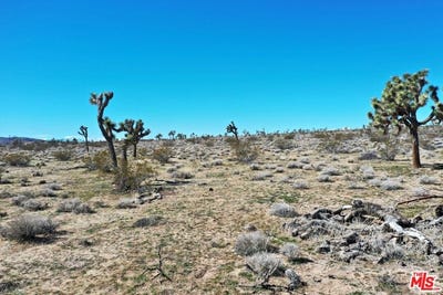 /international/us/rice-ave-joshua-tree-ca-110096889494/
