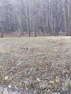 /international/us/miller-cove-rd-catawba-va-110104998828/
