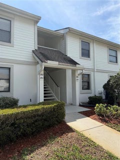 /international/us/204-windward-place-oldsmar-fl-110106918086/
