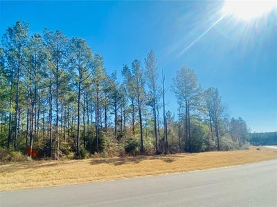 /international/us/15396-forest-grove-drive-willis-tx-110097213675/?lang=zh-tw