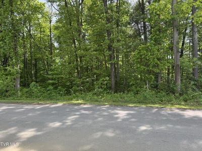 /international/us/parrish-drive-lot-5-greeneville-tn-110108448117/