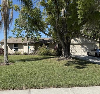 /international/us/408-lakeview-drive-oldsmar-fl-110105886445/