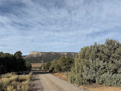 /international/us/tbd-christy-lane-rutheron-nm-110100428510/