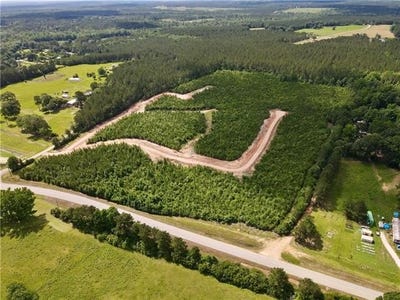 /international/us/parcel-1-436-highway-lot-1-franklinton-la-110108399301/