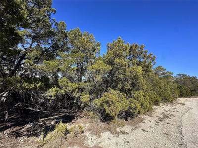 /international/us/6402-cimmaron-trl-lago-vista-tx-110089322964/?lang=zh-cn