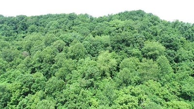 /international/us/0-youngs-hollow-road-charleston-wv-110101063644/?lang=zh-tw