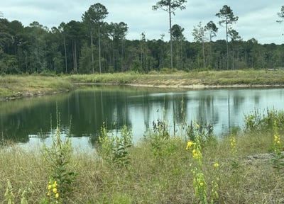 /international/us/563-sandridge-road-dorchester-sc-110120518084/