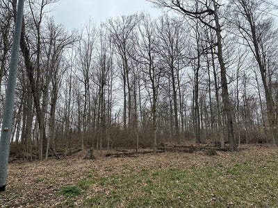 /international/us/grant-rd-mount-vernon-oh-110106269882/