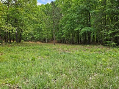 /international/us/664-8-65-ac-pond-rd-buckingham-va-110107550164/