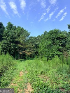 /international/us/pettit-road-lot-1-jasper-ga-110120772439/